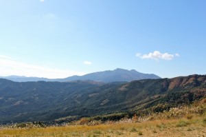 IMG_1207_resize1
