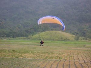 井関さん