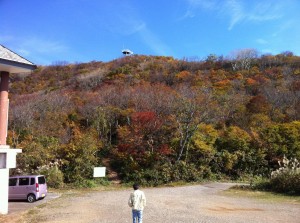 IMG_2545_2_resize1